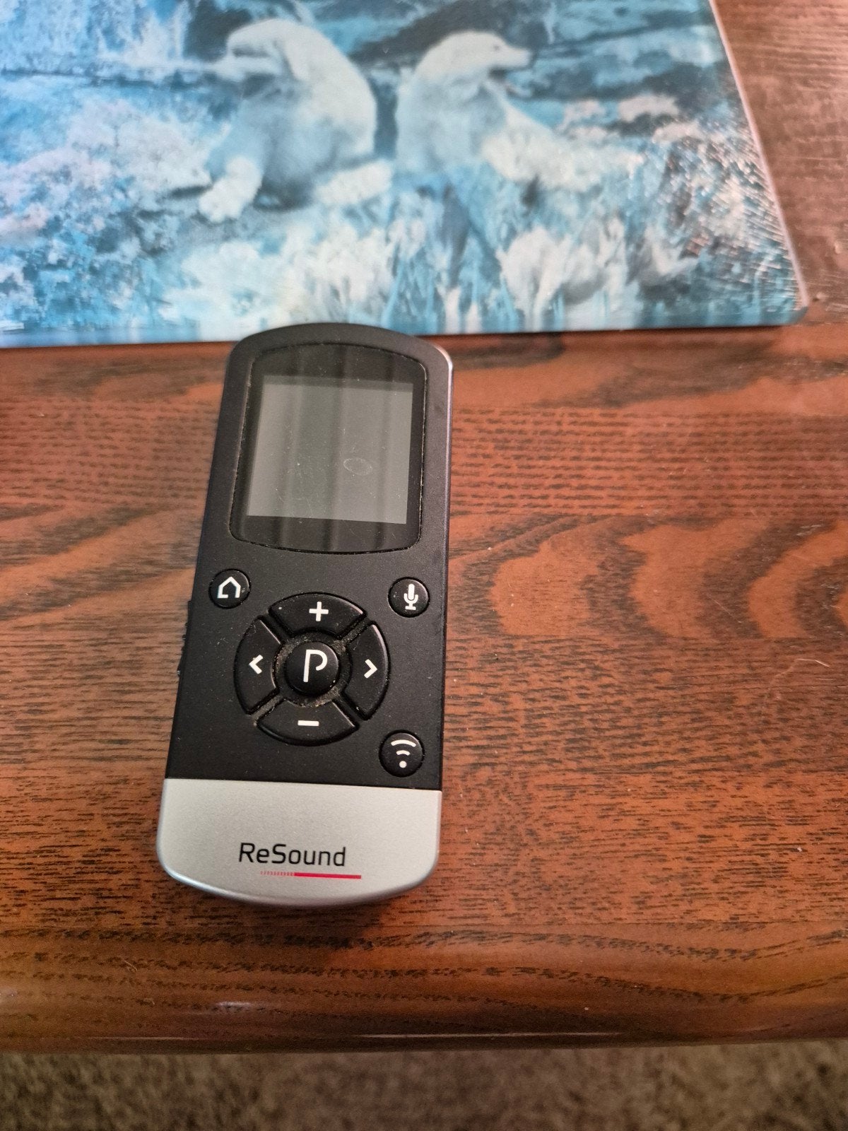 Resound afstand bediening, Ophalen of Verzenden
