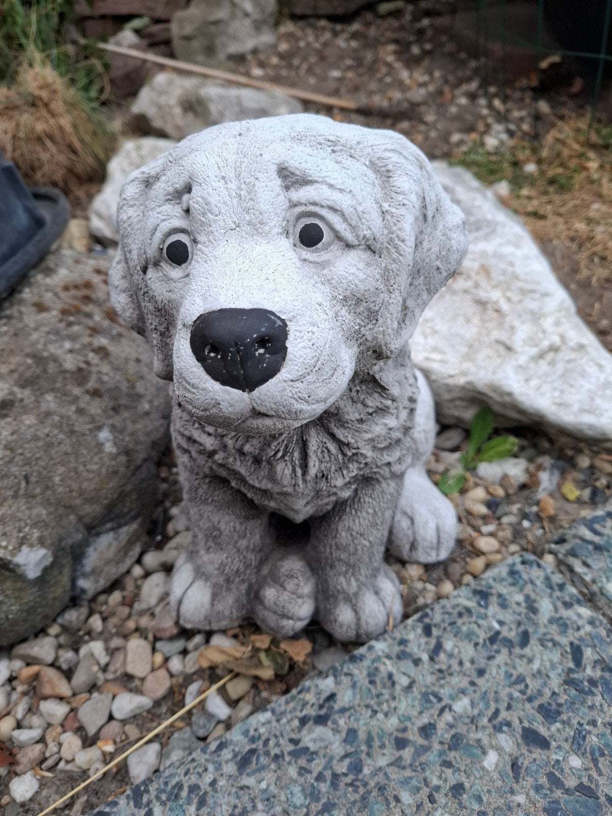 Schattig betonnen hondenbeeld voor tuin of terras, Tuin en Terras, Tuinbeelden, Ophalen, Gebruikt, Beton, Dierenbeeld