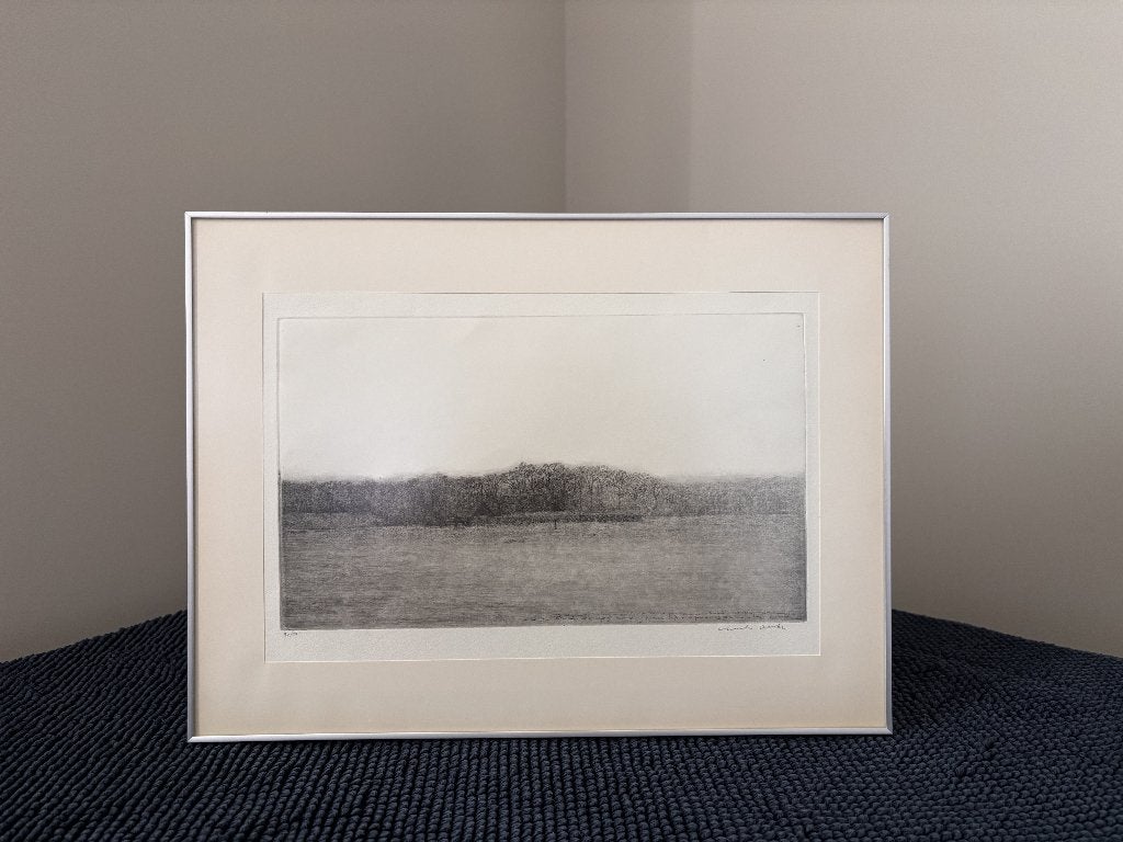Charles Donker Originele Ets Rhijnauwen | Gesigneerd 43/50, Antiek en Kunst, Ophalen, 30 cm, Gesigneerd, Landschap