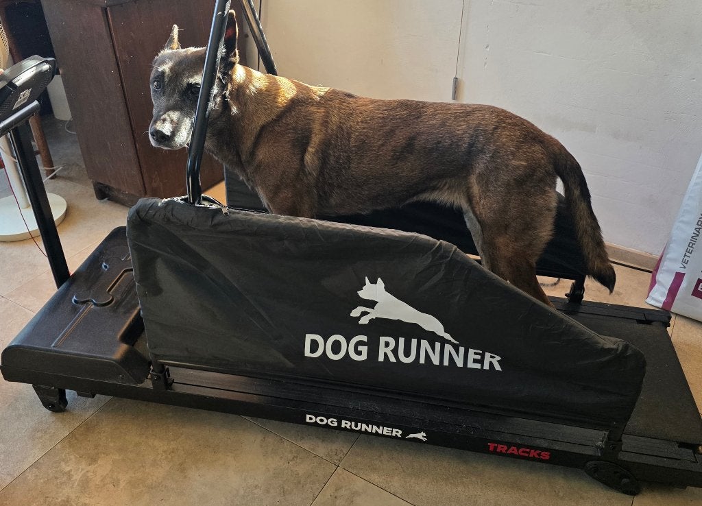 Dogrunner, Loopband voor een hond, Ophalen, Gebruikt, Hondenren