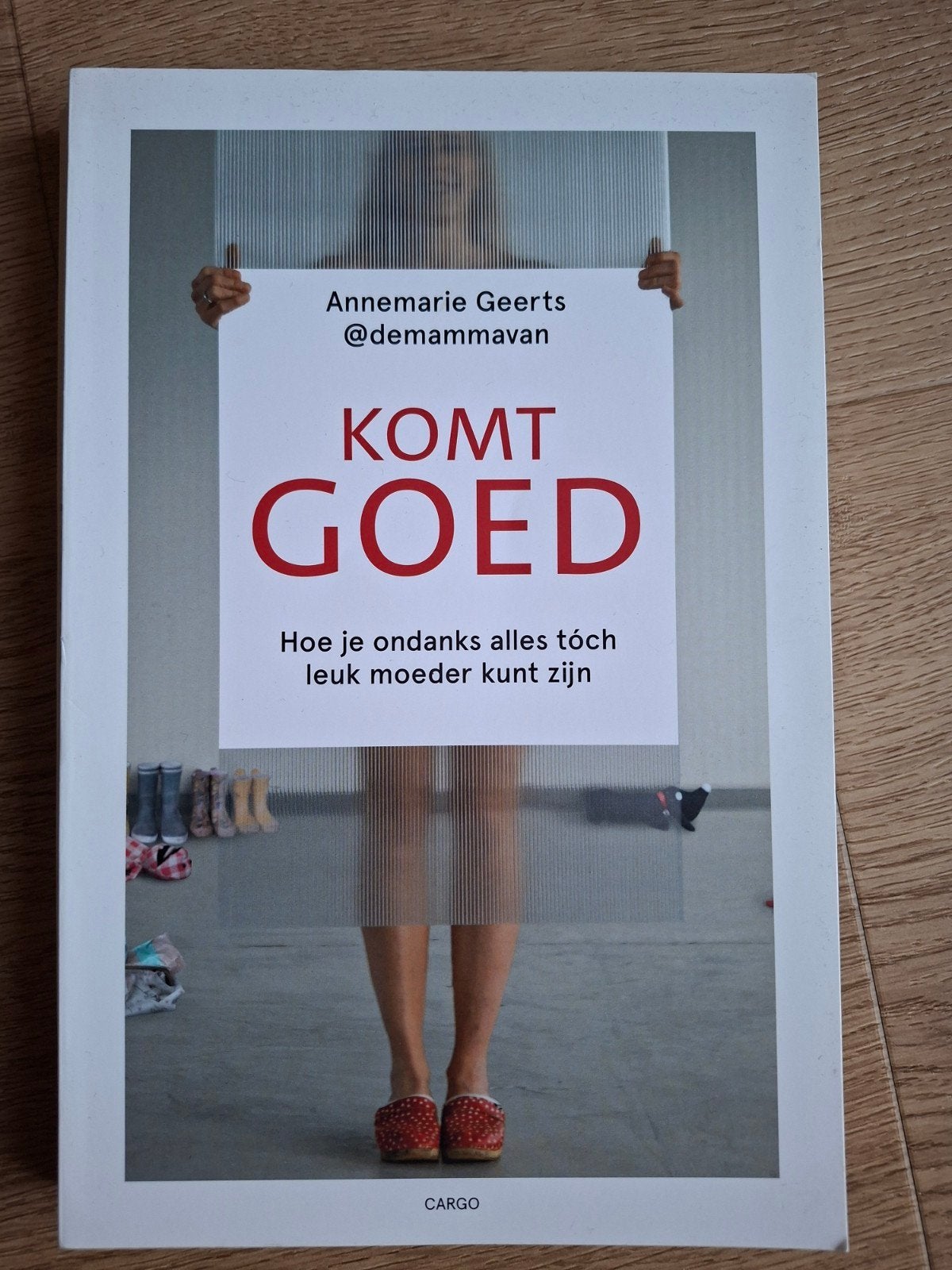 Annemarie Geerts - Komt goed, Boeken, Ophalen of Verzenden, Zo goed als nieuw, Annemarie Geerts