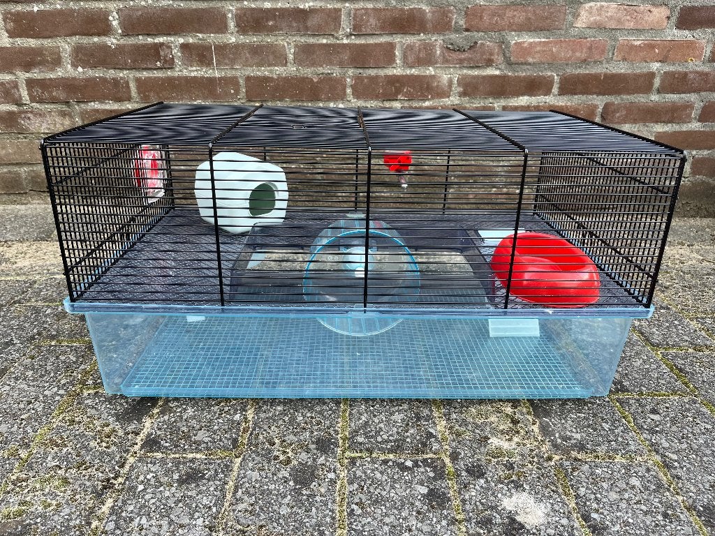 Hamsterkooi Ferplast incl. accessoires - 60 x 36,5 x 30 cm, Kooi, Gebruikt, Minder dan 75 cm, Hamster