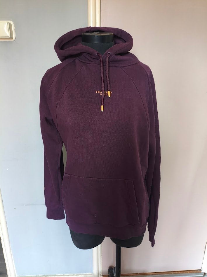 Daily Aesthetikz aubergine kleurige heren hoodie, Paars, Ophalen of Verzenden, Gedragen, DAILY AESTHETIKZ