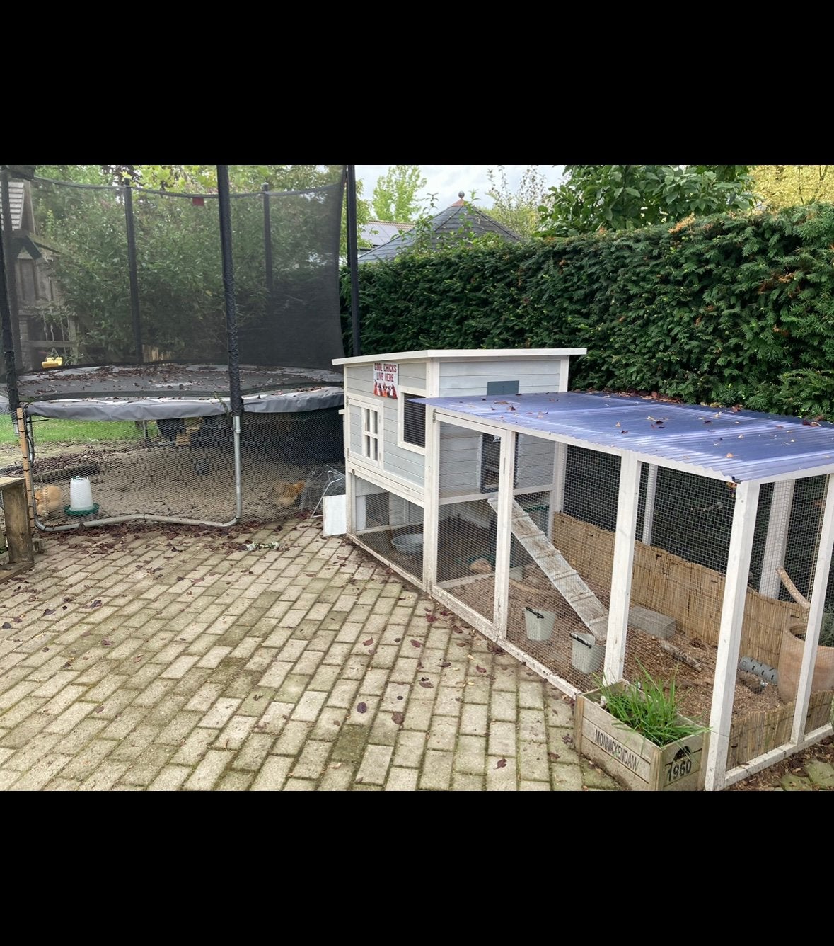 Kippenhok met ruime ren en automatisch kippenluik, Dieren en Toebehoren, Pluimvee | Toebehoren, Ophalen, Gebruikt, Kippenhok of Kippenren