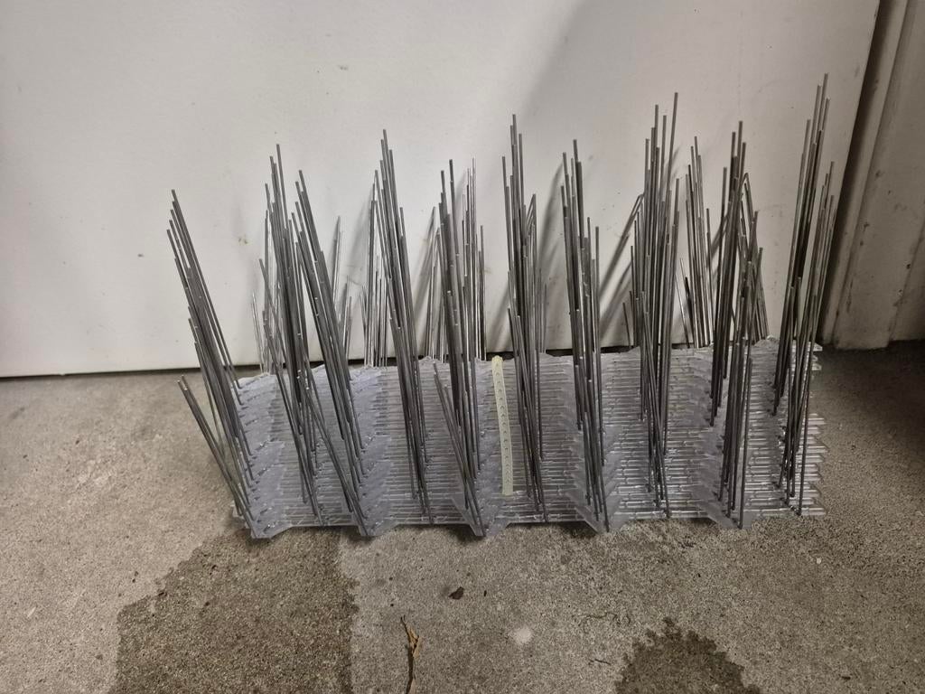 Duiven pinnen