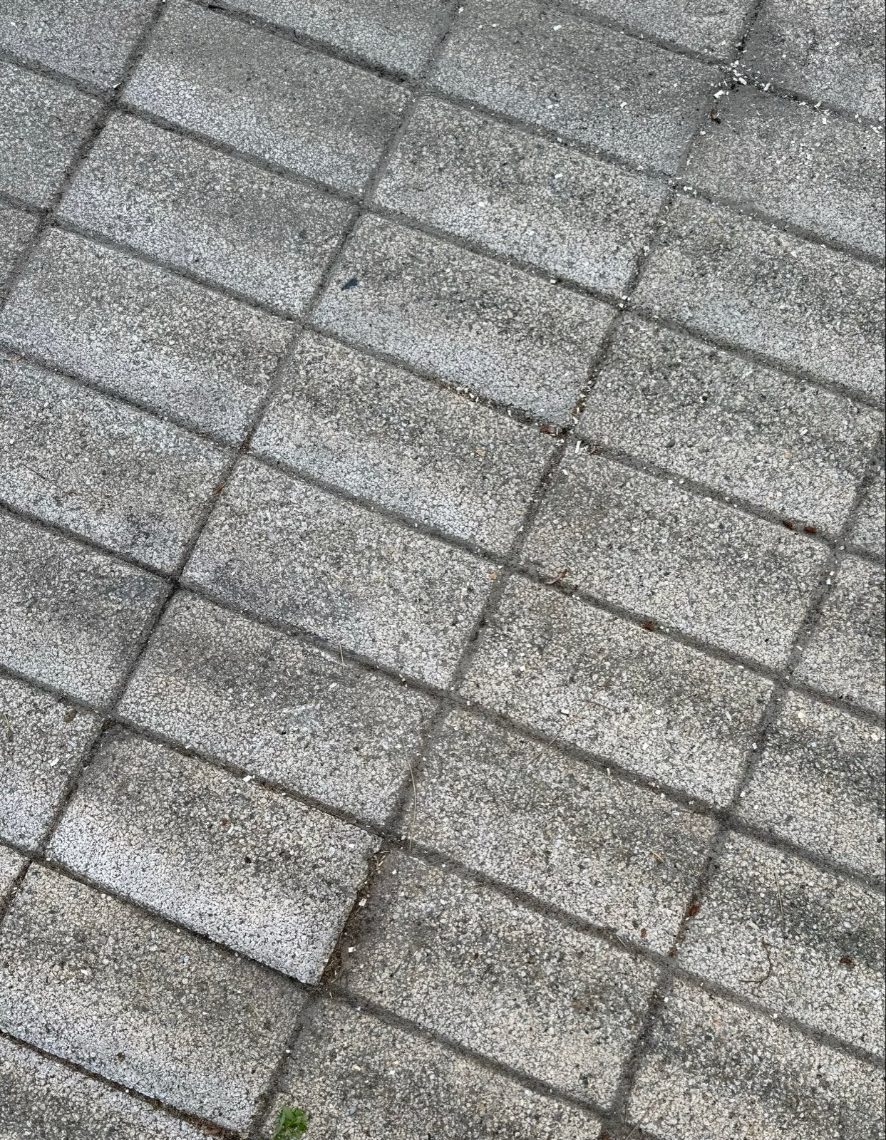 Gebruikte betontegels 30x15 cm - Ideaal voor terras/pad, Ophalen, Gebruikt, 10 m² of meer, Beton