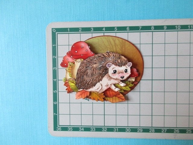 y00126 / egel, Verzenden, Nieuw, Dieren, Overige typen