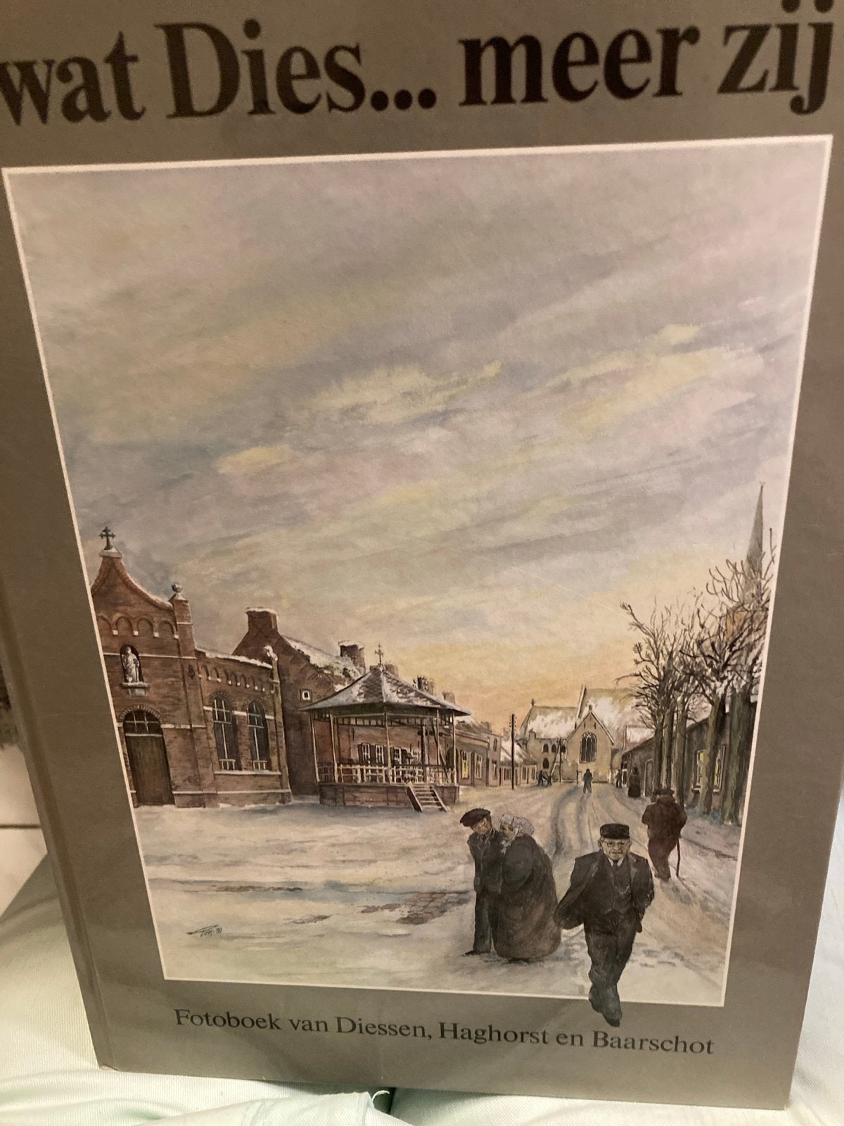 Wat Dies... meer zij - Fotoboek Diessen, Haghorst en Baarsch, Ophalen of Verzenden, 20e eeuw of later, Zo goed als nieuw