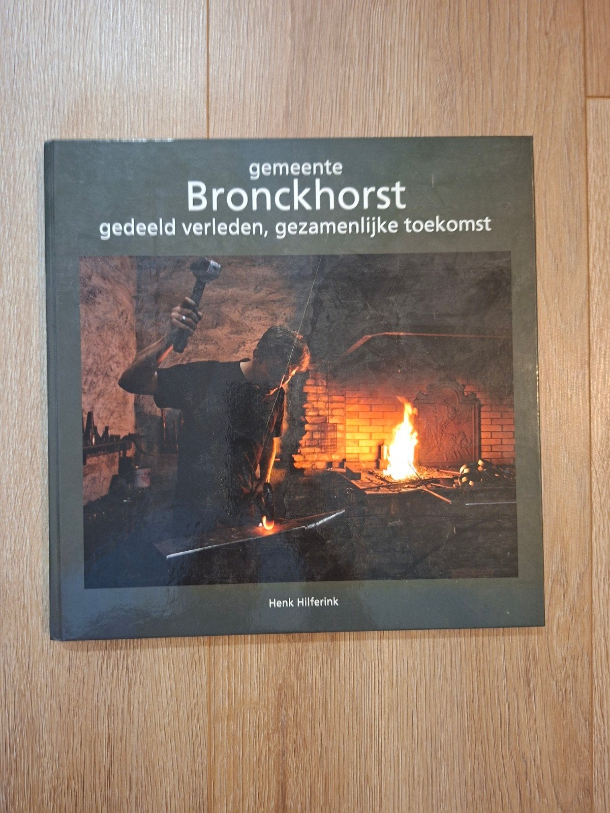 Te koop: Bronckhorst (Boek), Ophalen of Verzenden, Nieuw