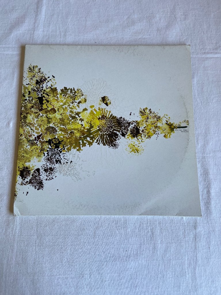 Rhadoo - dor mit oru, Verzenden, Zo goed als nieuw, 12 inch