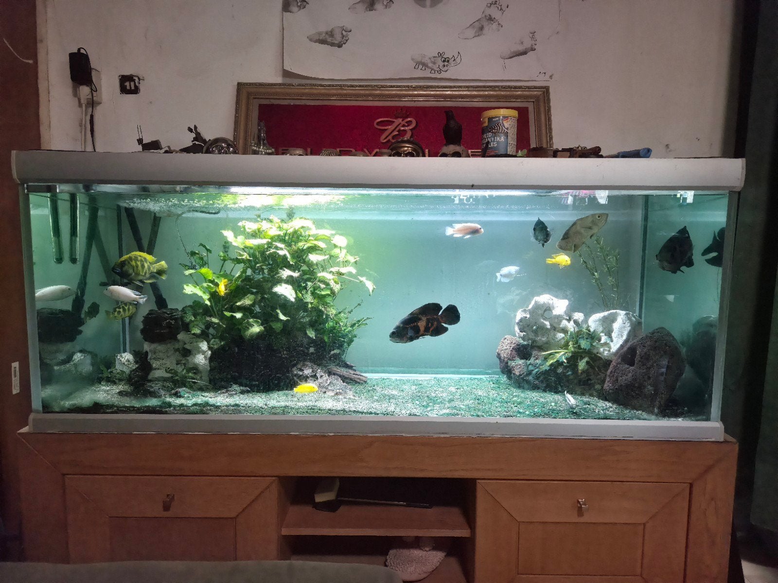 Aquarium B160xH60xD60, Dieren en Toebehoren, Vissen | Aquaria en Toebehoren, Ophalen, Inclusief toebehoren, Gebruikt, Leeg aquarium