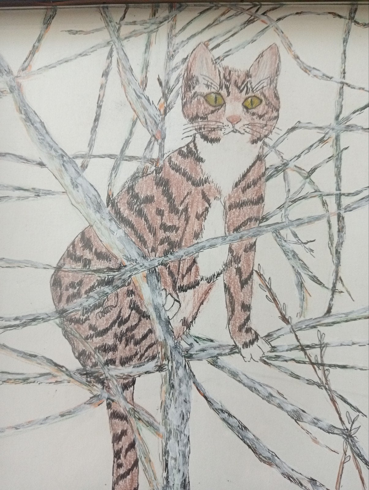 Tekening Kat in een Boom, Antiek en Kunst, Ophalen of Verzenden