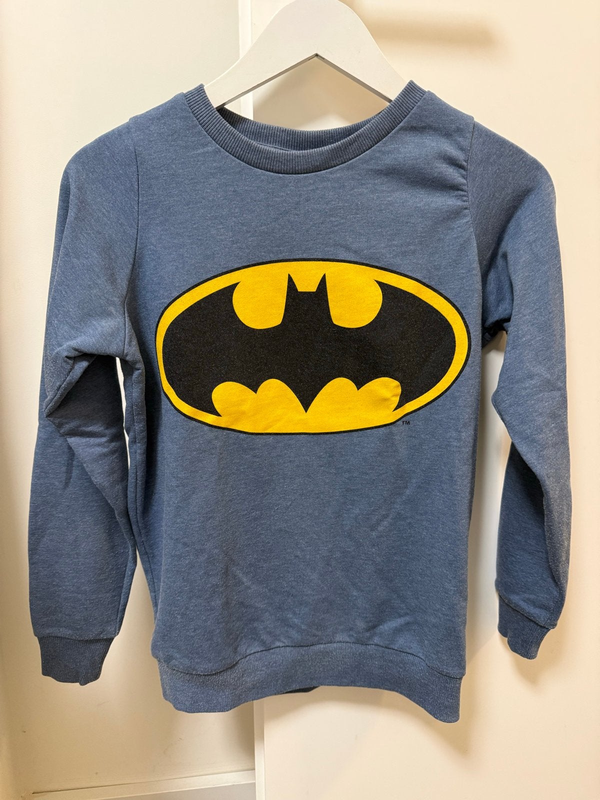 Batman Trui Dames Maat XS - Blauw, Ophalen of Verzenden, Gedragen, Maat 34 (XS) of kleiner, Blauw