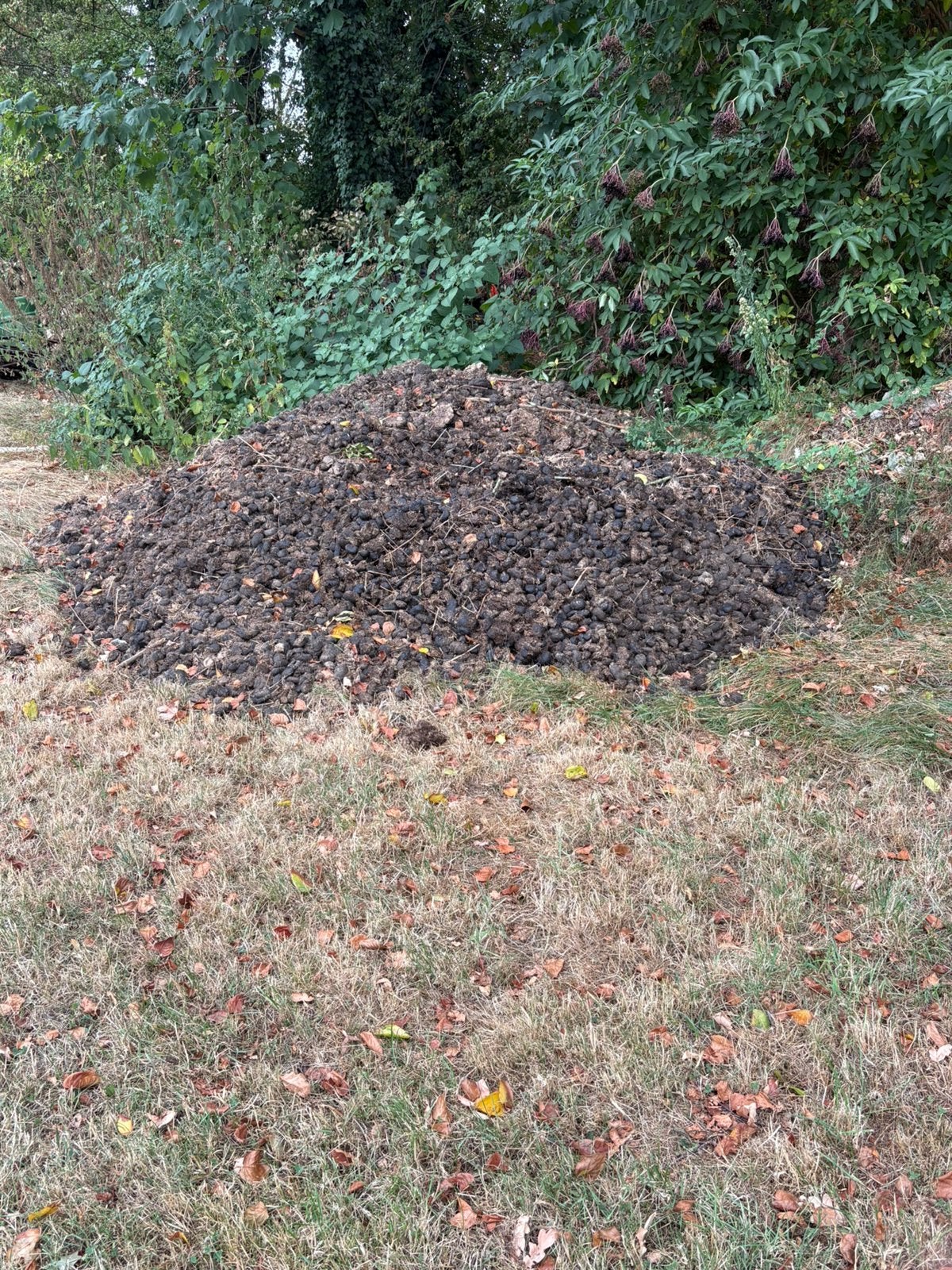 Gratis paardenmest op te halen, Ophalen of Verzenden, Tuinaarde