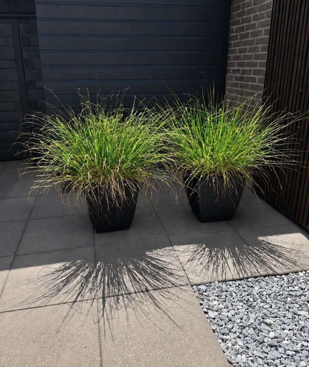 2 wicker bloembakken + siergrassen in bloei, Tuin en Terras, Ophalen, Vaste plant, Siergrassen, Halfschaduw
