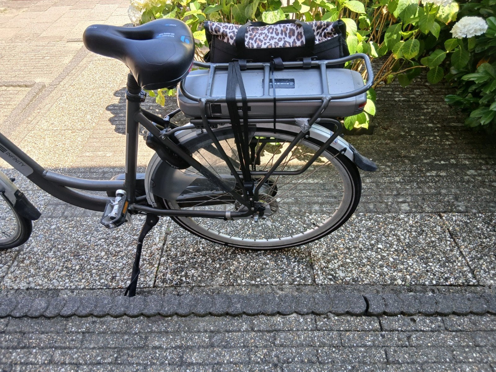 Elektrische damesfiets, Ophalen, Overige merken