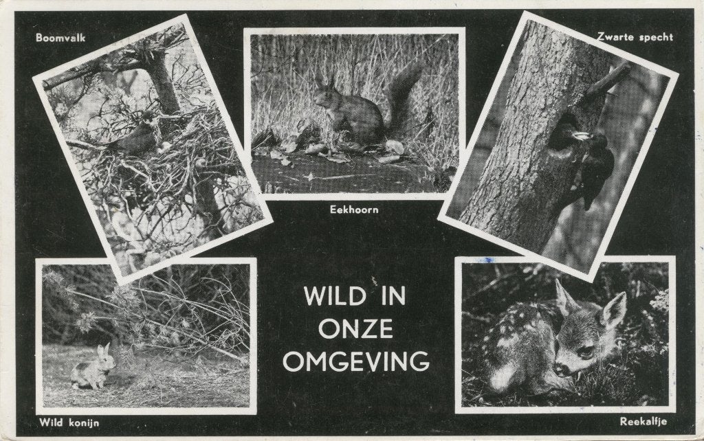 Otterlo Vakantiecentrum De Roek 1958, Verzenden, 1940 tot 1960, Gelopen, Gelderland