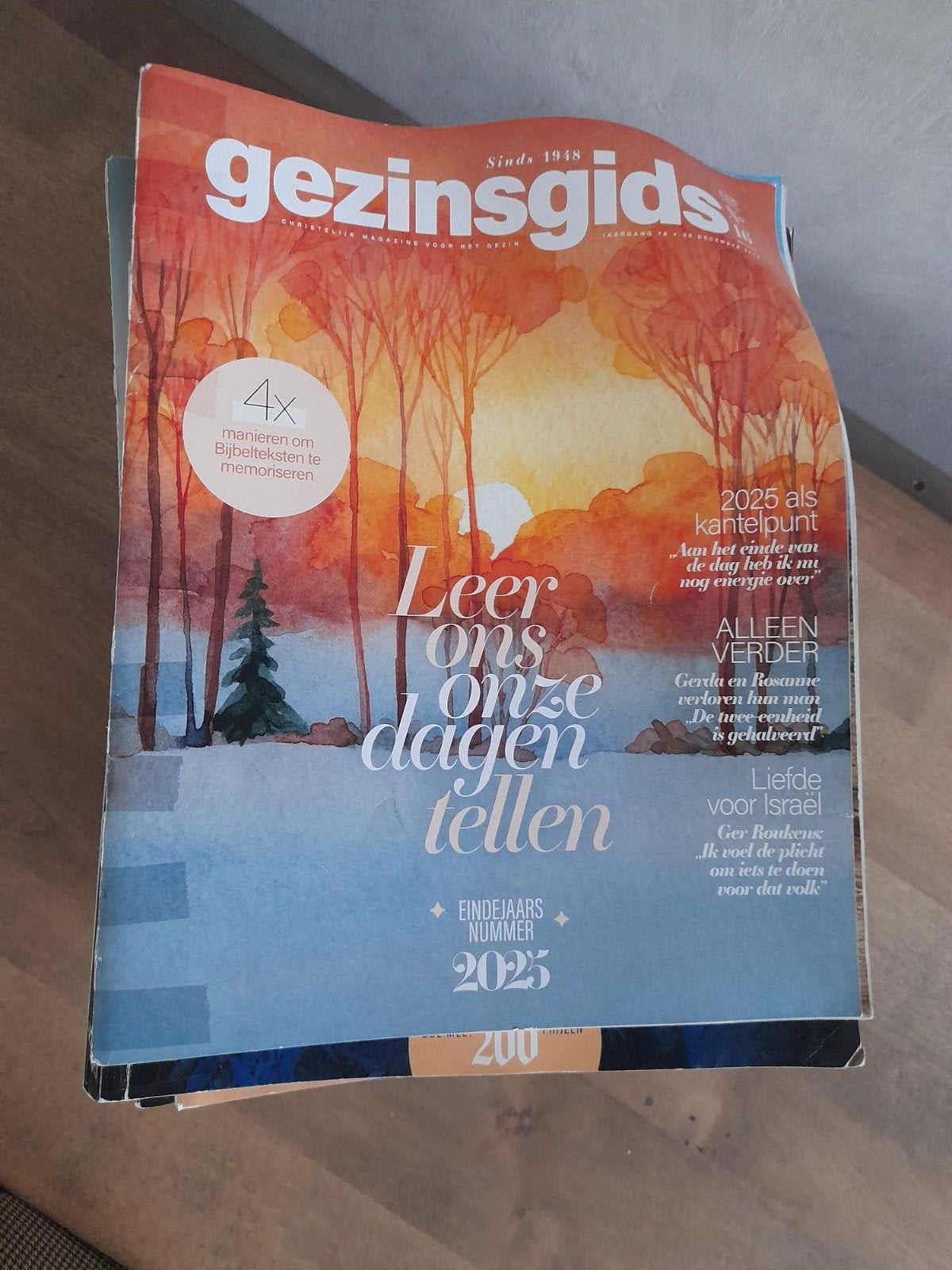 Bijna alle Gezinsgids 2025, Ophalen of Verzenden, Gelezen