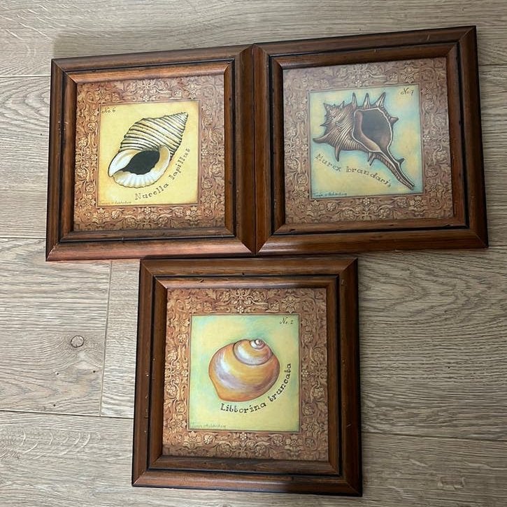 3x brocante schelp schilderij Tanja van Achterberg, Huis en Inrichting, Woonaccessoires | Lijsten, Zo goed als nieuw, Hout, Ophalen of Verzenden