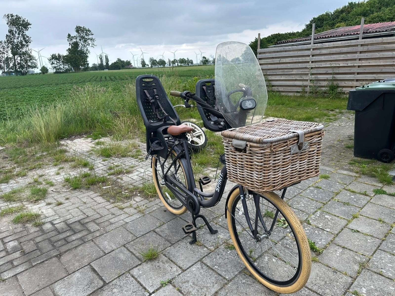 Spirit Omafiets met kinderzitjes en windscherm, Fietsen en Brommers, Overige merken, Terugtraprem, Ophalen of Verzenden, 50 tot 53 cm
