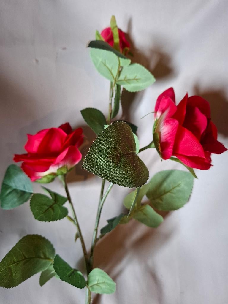 kunstbloem Intratuin - rood/creme trosroos, Binnen, Verzenden, 76 cm, Kunstbloem