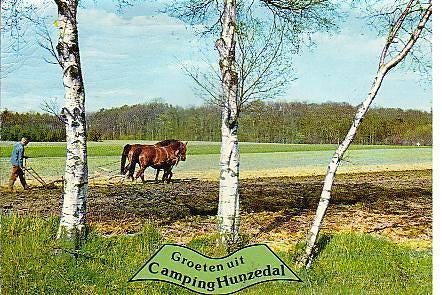 Ansichtkaart	Borger	Hunzedal	Camping	paarden, Verzenden, 1960 tot 1980, Gelopen, Drenthe