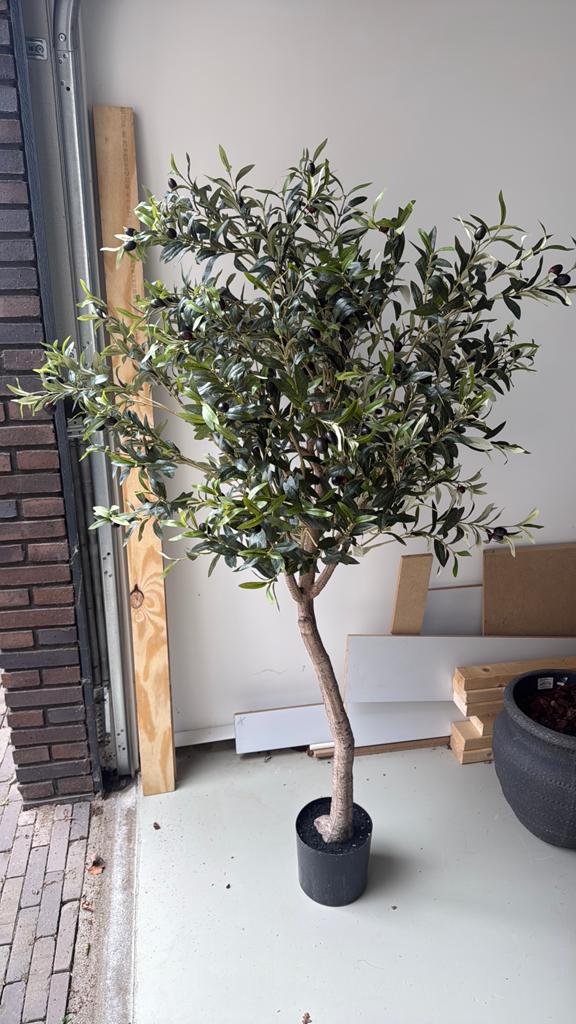 Kunst olijfboom 180 cm, Ophalen, Binnen, Groen, Kunstplant