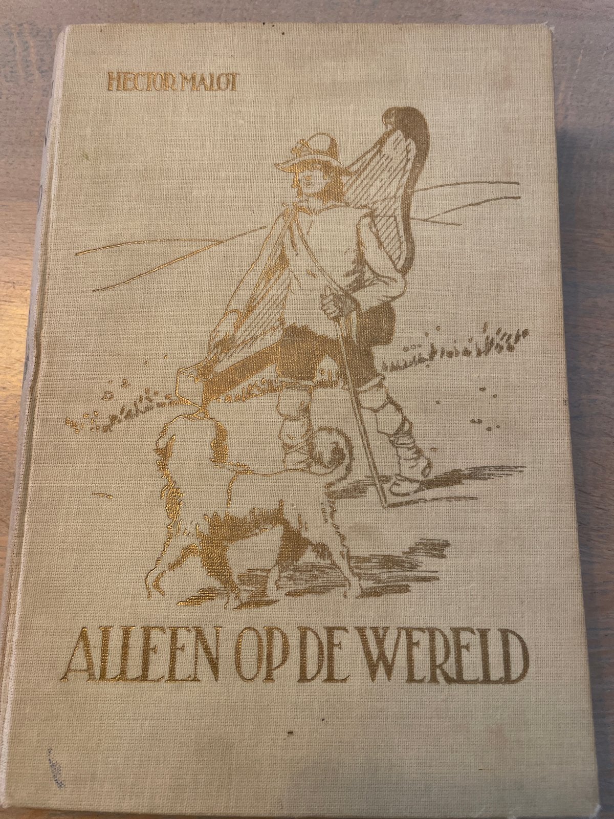 Alleen op de Wereld - Hector Malot (Oude Uitgave), Ophalen of Verzenden, Gelezen, Fictie algemeen