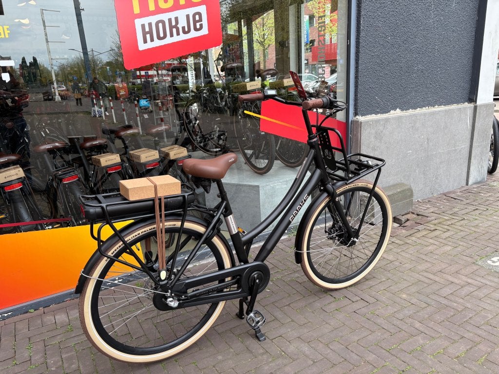 Foto 2 van Fietshokje Hoofddorp:Raaks Hudson elektrische transportfiets