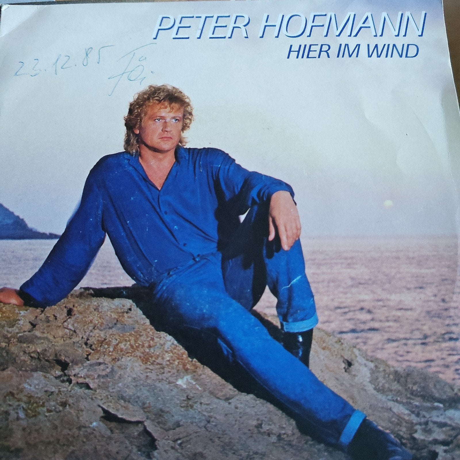 Peter Hofmann - Hier im Wind (Vinyl), Cd's en Dvd's, Originele persing, Ophalen of Verzenden, Gebruikt, 7 inch