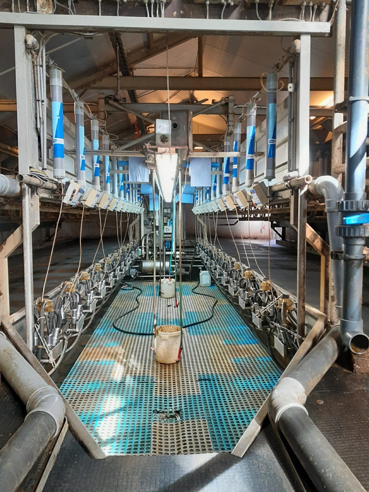 Boumatic melkput bouwjaar 2011, Dieren en Toebehoren