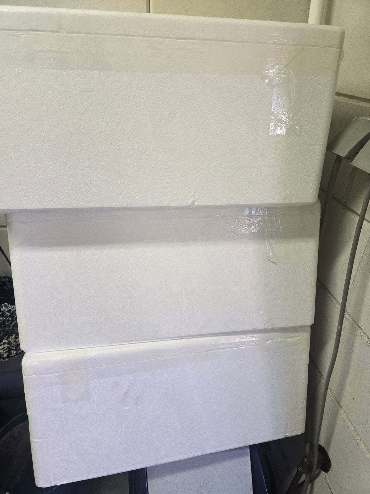 3 tempex dozen 59x40x26 cm, Ophalen, Zo goed als nieuw, Doos, Minder dan 35 cm
