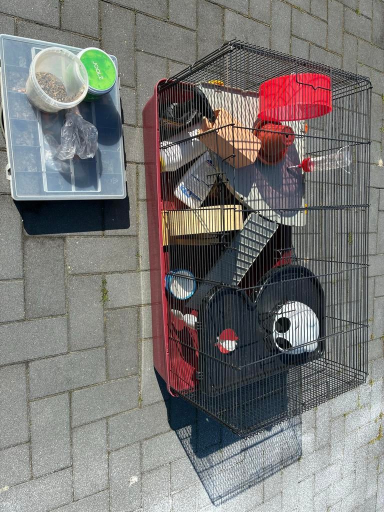 Hamsterkooi of caviakooi in zeer nette staat met alles erbij, Kooi, Minder dan 75 cm, Zo goed als nieuw, Ophalen