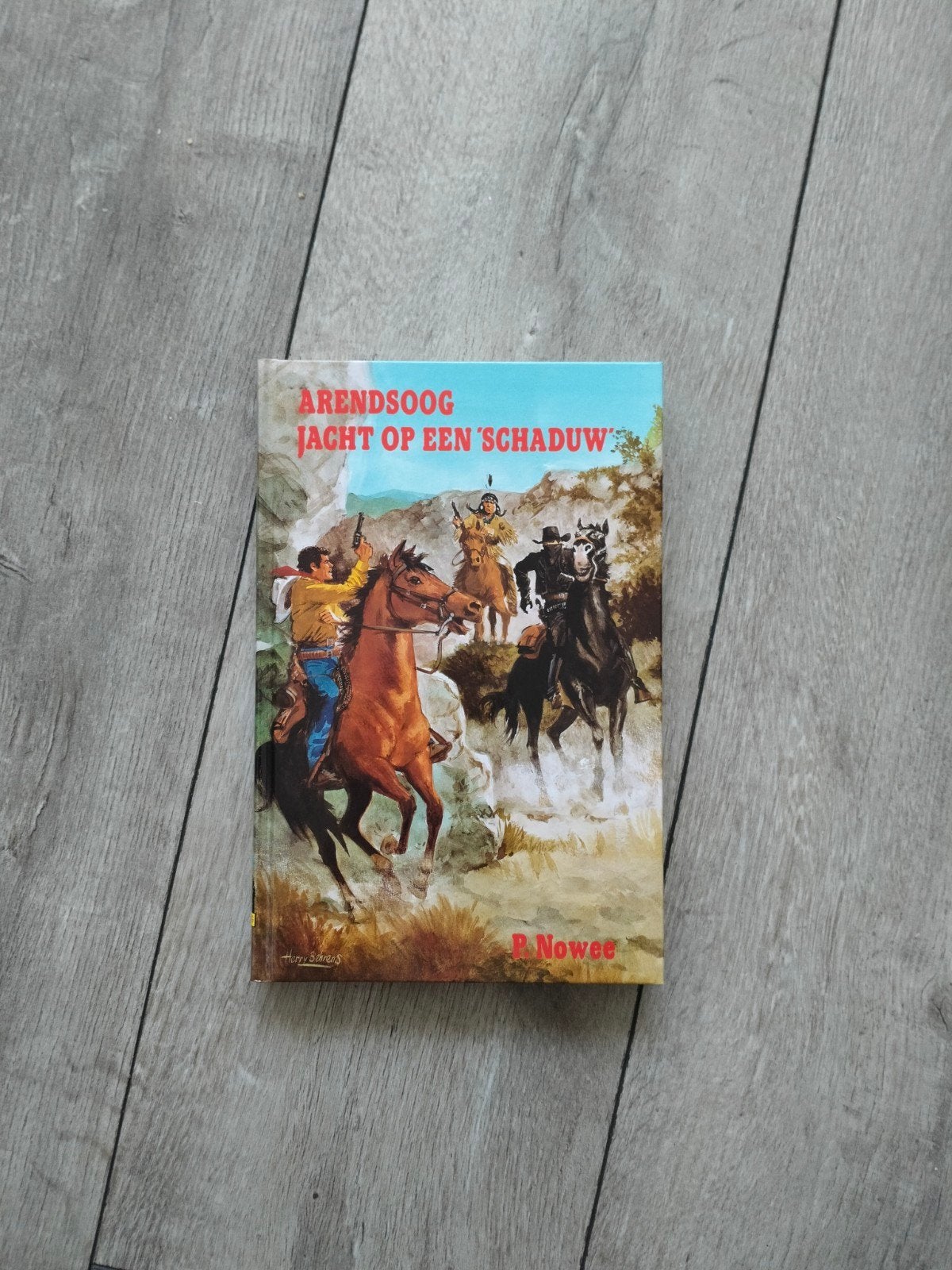 Arendsoog jacht op een schaduw - P Nowee, Ophalen of Verzenden, Zo goed als nieuw