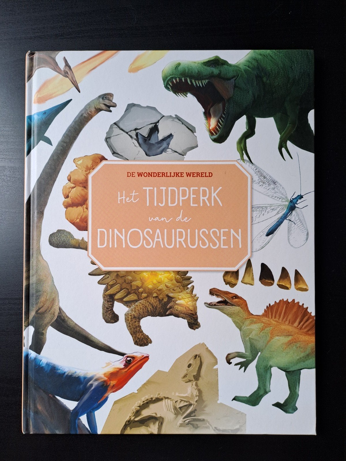 Het Tijdperk van de Dinosaurussen - Educatief Kinderboek, Boeken, Ophalen of Verzenden, Zo goed als nieuw, Non-fictie