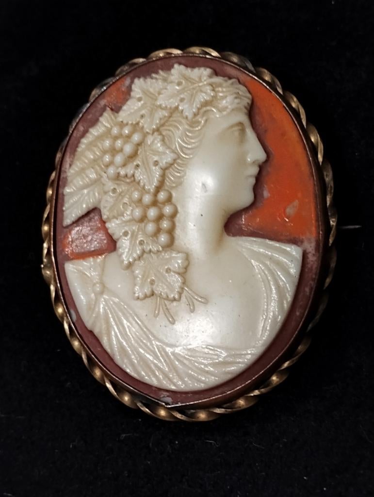 Oude camee broches, Sieraden, Tassen en Uiterlijk, Broches, Zo goed als nieuw, Overige materialen, Ophalen of Verzenden