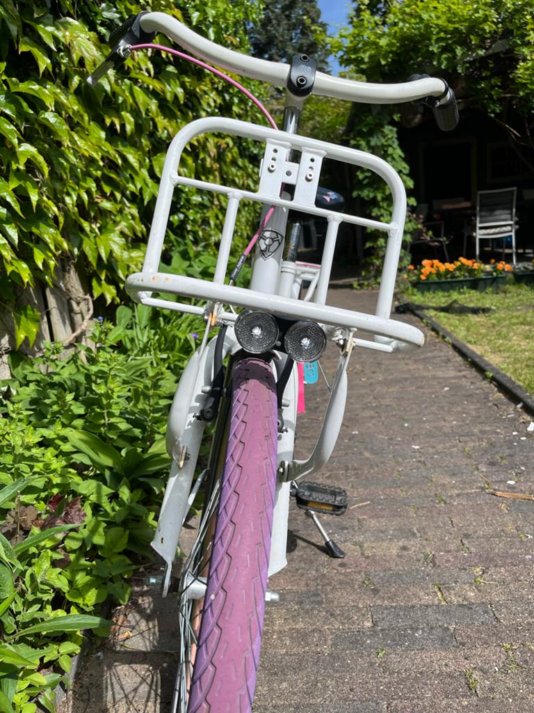 Alpina Clubb Meisjesfiets 22 inch met Terugtraprem en Handre, Fietsen en Brommers, Ophalen, Terugtraprem, 22 inch, Gebruikt
