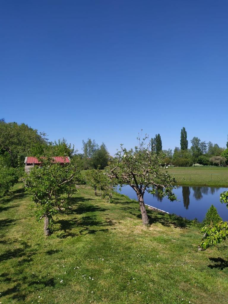 Groenten / moestuin met boomgaard te huur, Ophalen of Verzenden, Lente, Volle zon, Overige soorten