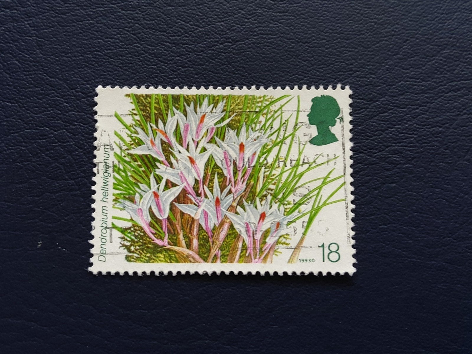 Postzegel UK 1993 - Dendrobium hellwigianum, Ophalen of Verzenden