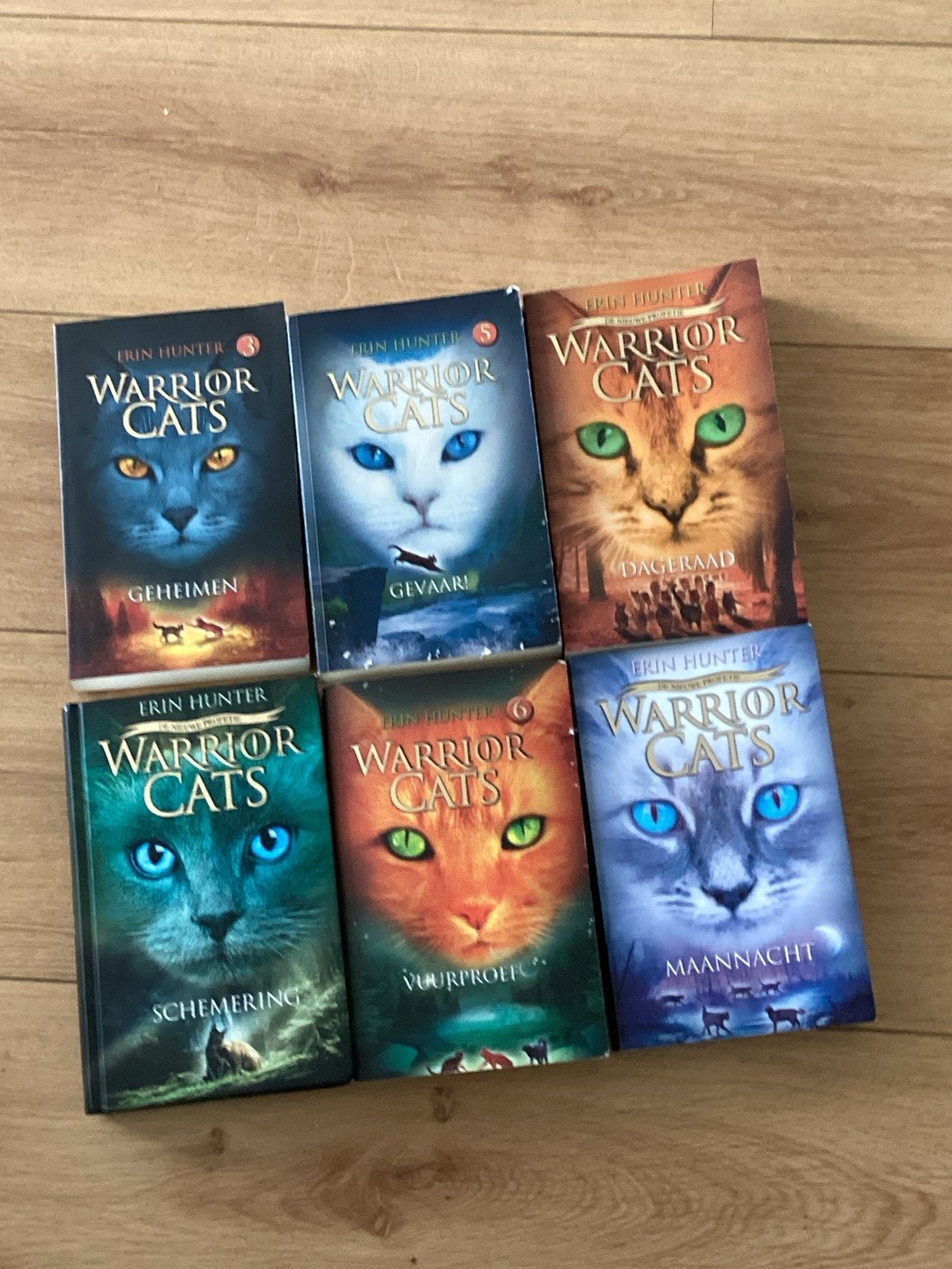 Warrior Cats Boekenreeks - Deel 1 t/m 6, Ophalen of Verzenden, Gelezen, Fictie