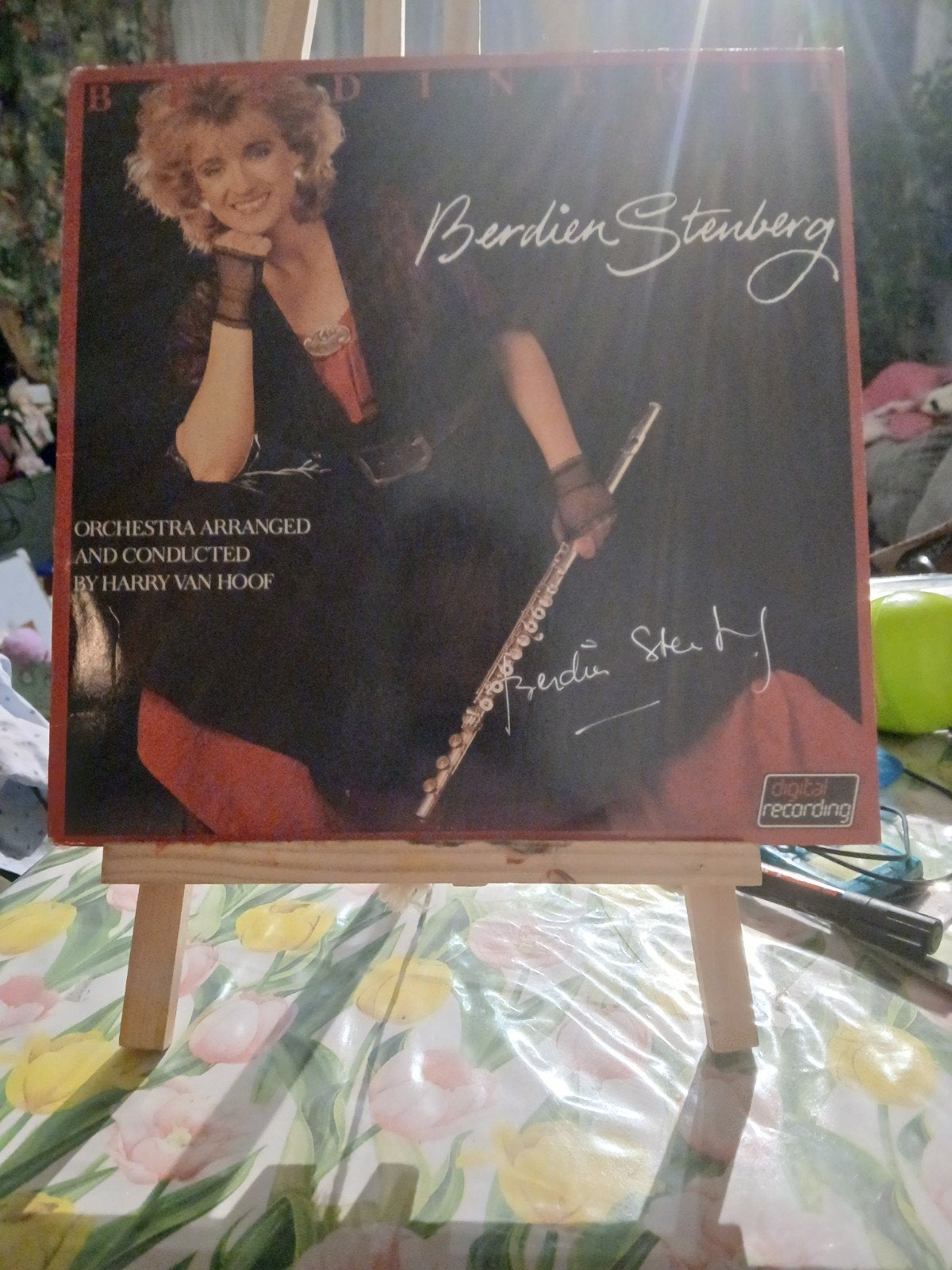 Berdien Stenberg vinyl  Berdien Stenberg LP (Digital Recordi, LP, Gebruikt, Overige genres, Ophalen of Verzenden