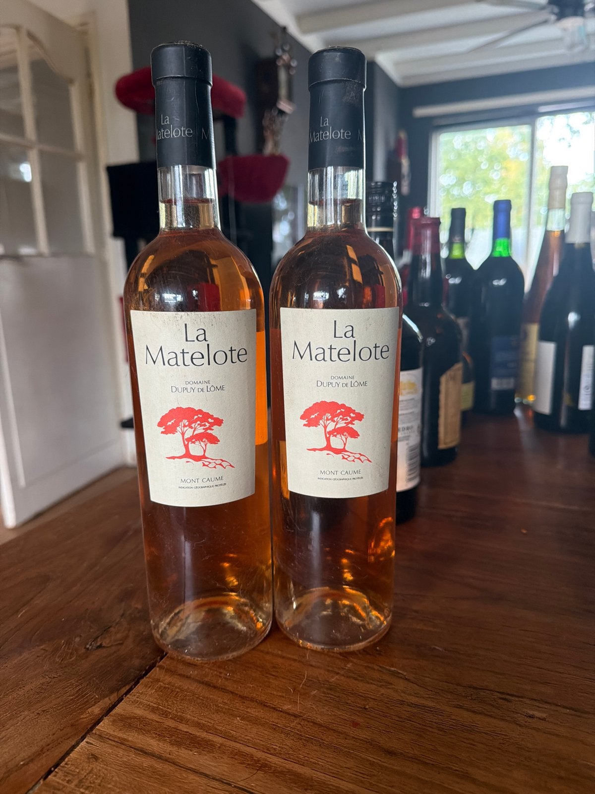 La Matelote Roséwijn - Domaine Dupuy de Lôme, Ophalen of Verzenden, Nieuw, Frankrijk, Roséwijn