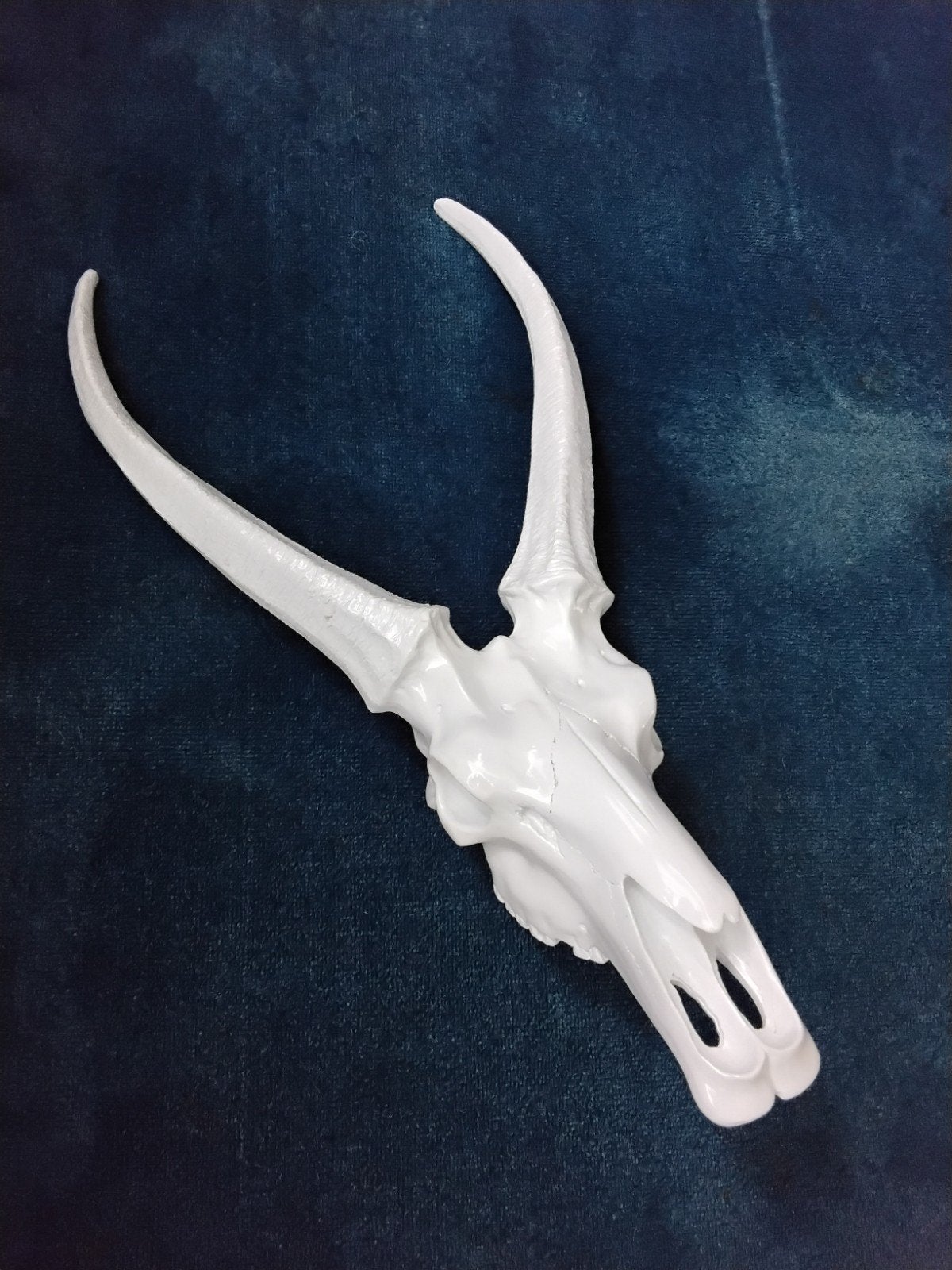 Antilope schedel kunst wit, Ophalen, Wit