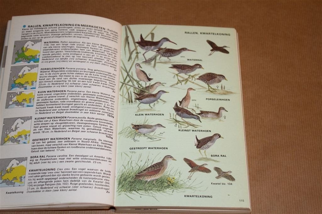 Elseviers gids van de Europese vogels., Boeken, Ophalen of Verzenden, Gelezen, Vogels