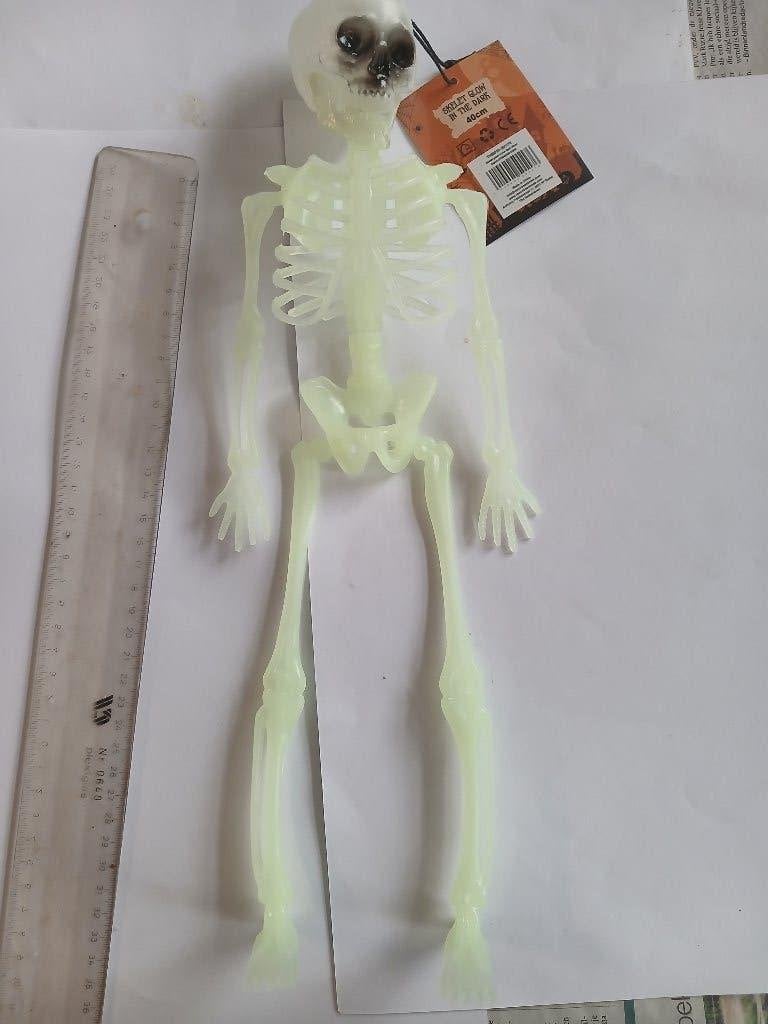 Glow in the Dark Skelet - 40cm Decoratie, Verzenden, Nieuw
