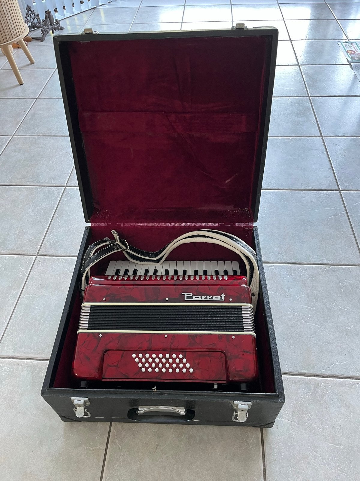 Junior Parrot Accordeon met koffer, Overige formaten, Nieuw, Toetsaccordeon, Met koffer