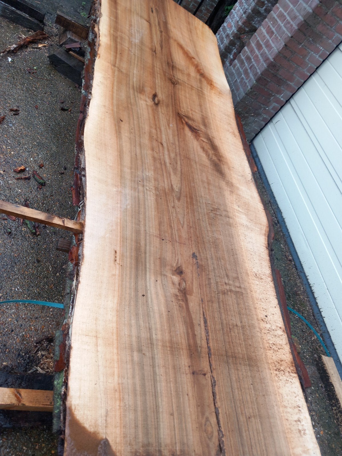 Boomstamtafels, tafelbladen en planken - Diverse houtsoorten, Ophalen, Nieuw, Plank, Overige houtsoorten