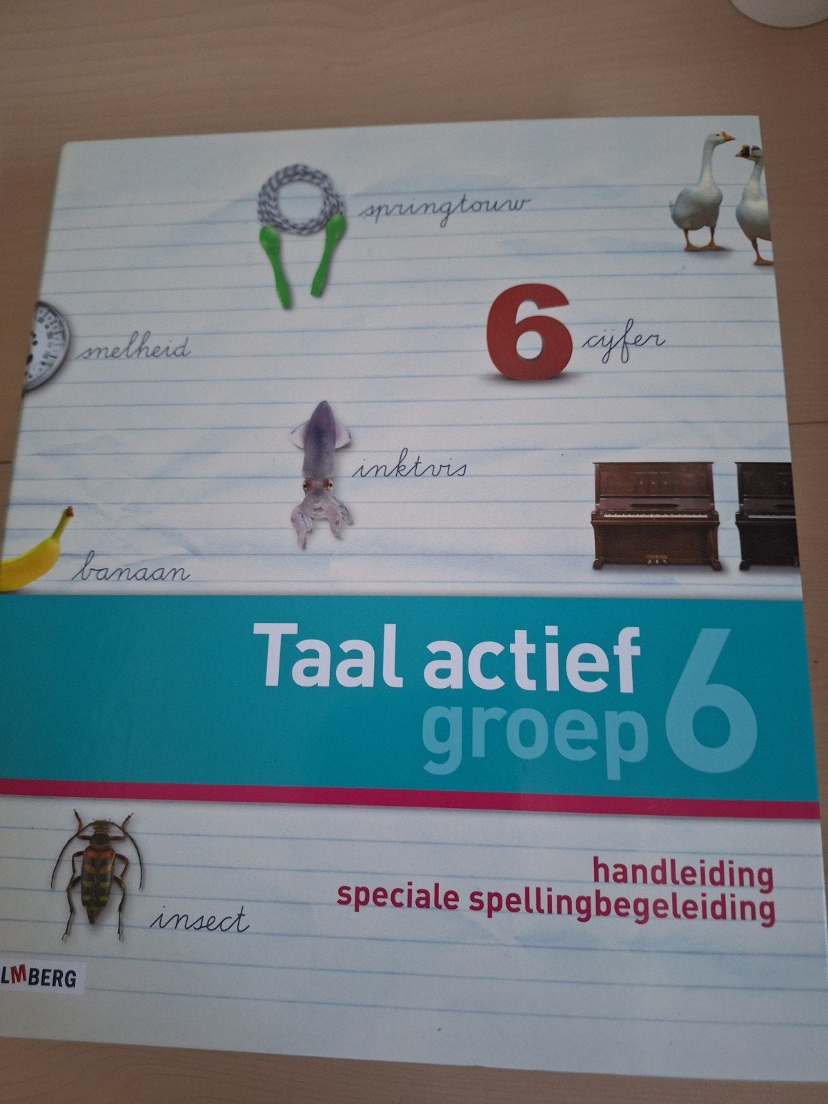 Handleiding Taal Actief Groep 6 - Spellingbegeleiding, Ophalen of Verzenden, Zo goed als nieuw, Overige niveaus, Nederlands