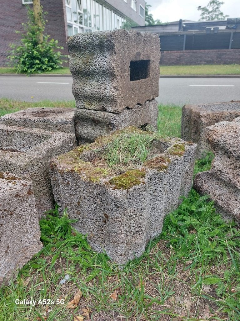 betonnen plantenbaksteen, Ophalen, Gebruikt, Minder dan 30 cm, Vierkant