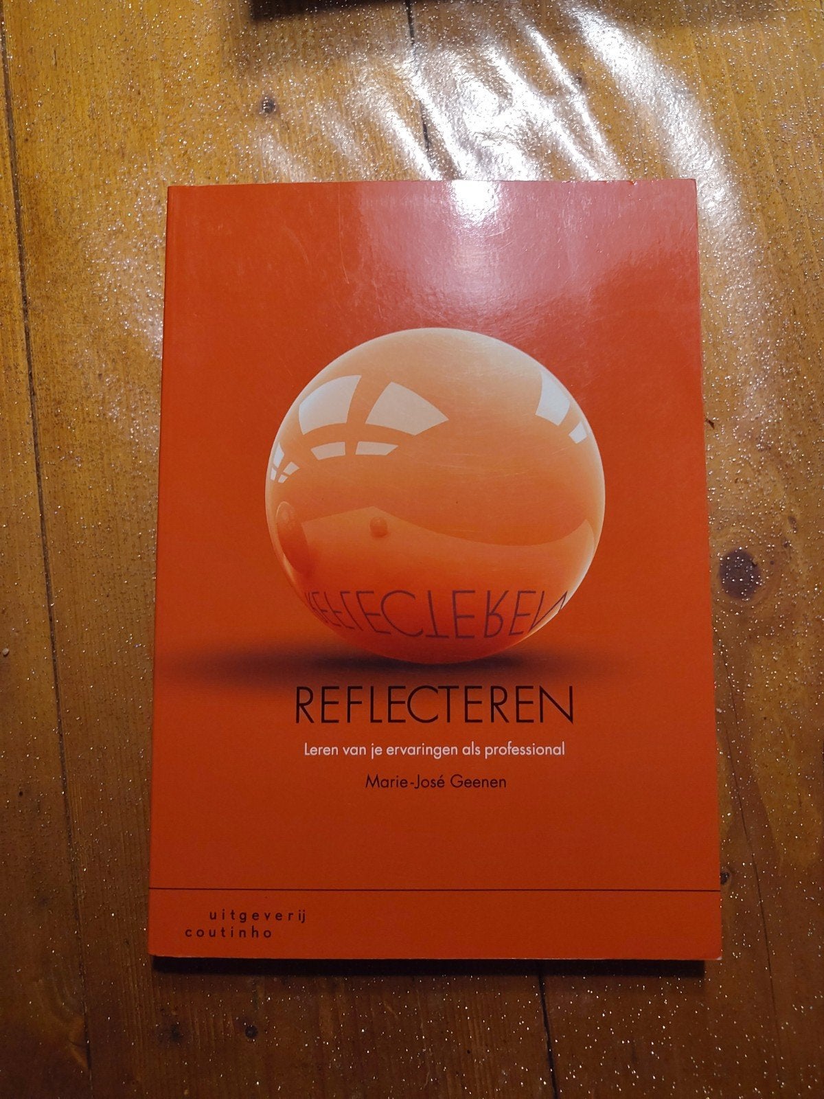 Marie-José Geenen - Reflecteren, Boeken, Zo goed als nieuw, Nederland, Marie-José Geenen, Ophalen of Verzenden